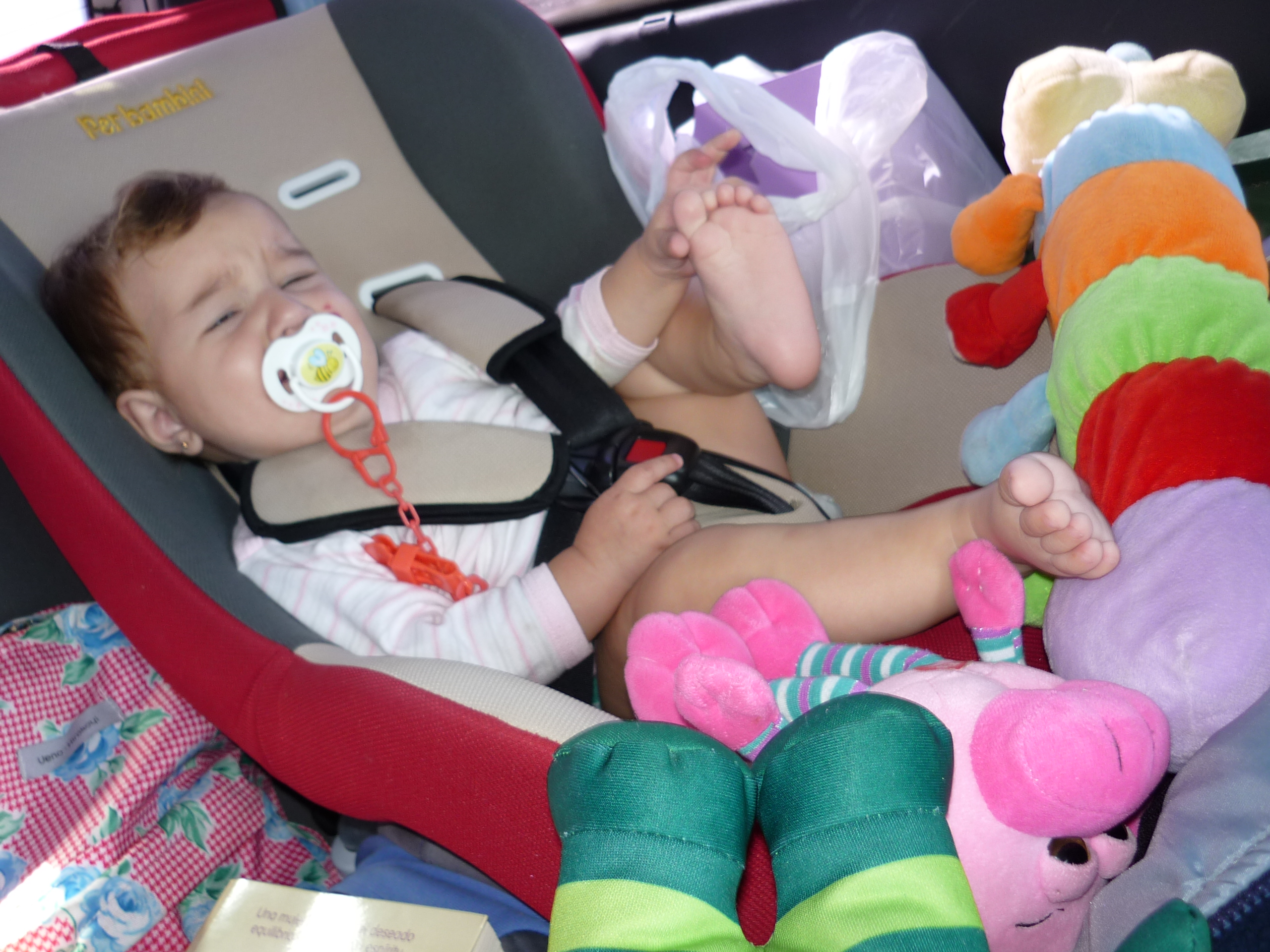 fotos/2011 - Los Reartes/P1010895.JPG